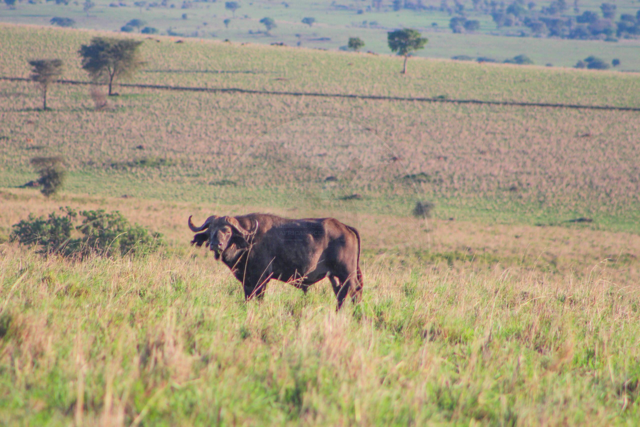 Lake Mburo National Park