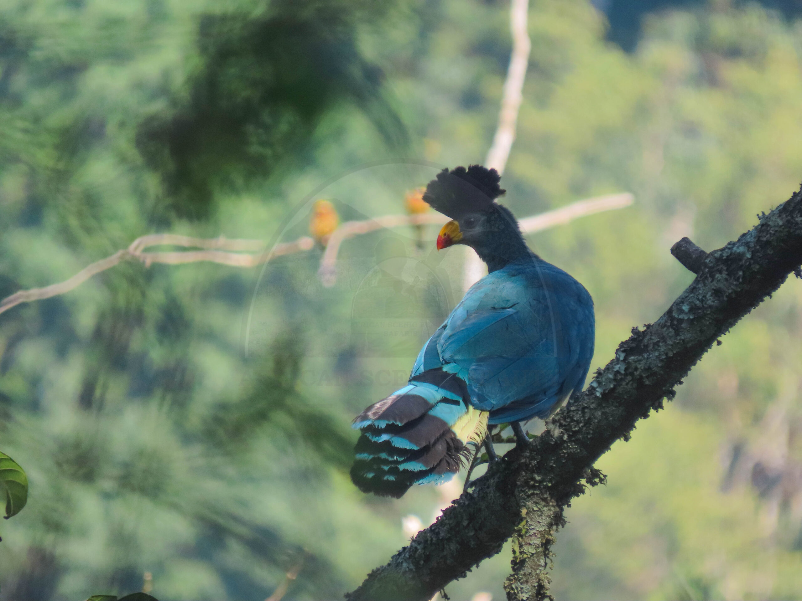 Semuliki National Park