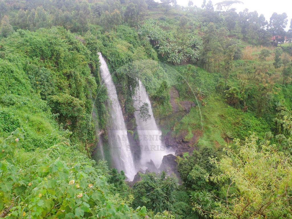 Mountain Elgon National Park