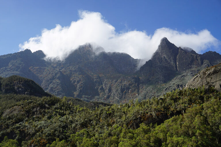 Mount-Rwenzori-02