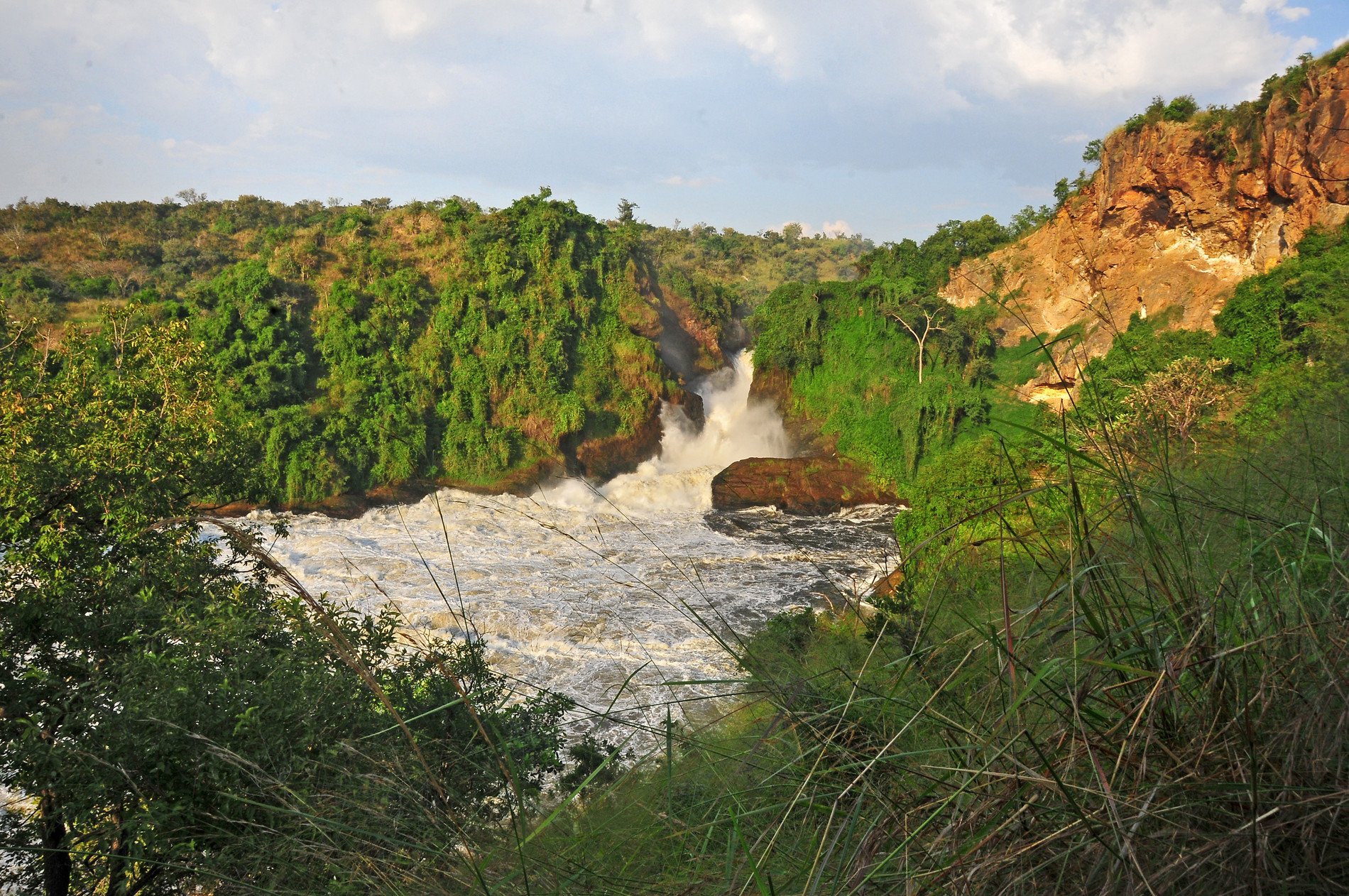 Murchison falls